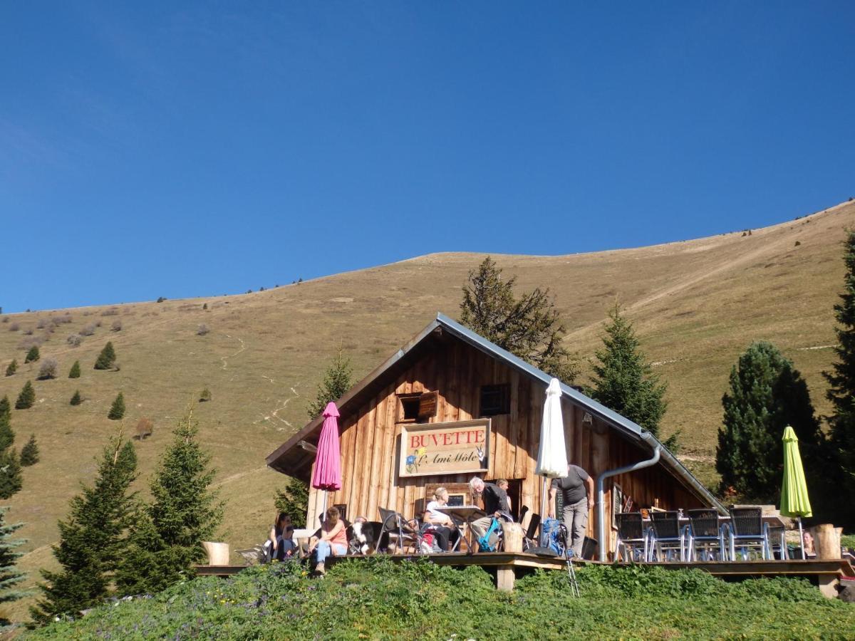 Au Coeur Des Alpes Bed & Breakfast Marignier Екстериор снимка