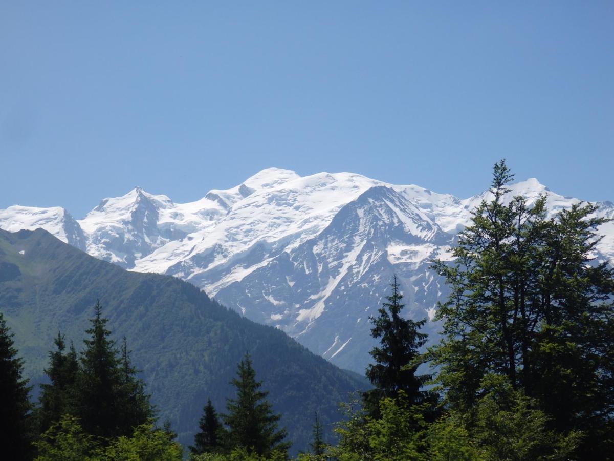 Au Coeur Des Alpes Bed & Breakfast Marignier Екстериор снимка