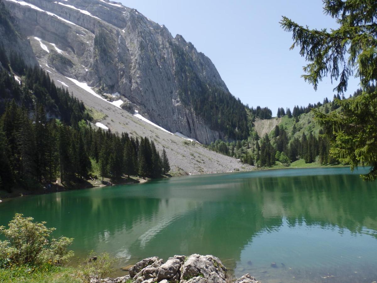 Au Coeur Des Alpes Bed & Breakfast Marignier Екстериор снимка